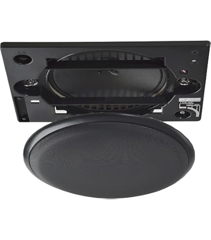 Amazon.co.jp: オースミ電機 （ MASSIVE ） 天井埋め込み型スピーカー