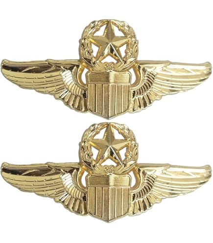 Amazon | 自衛隊グッズ 自衛隊ピンバッジ 航空自衛隊 ピンバッジ 航空