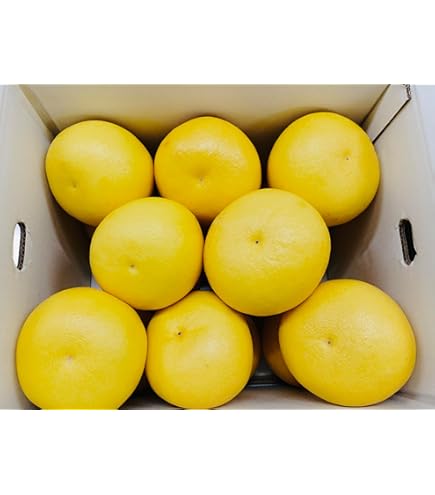 Amazon.co.jp: 高知産水晶文旦約10kgご家庭用 : 食品・飲料・お酒
