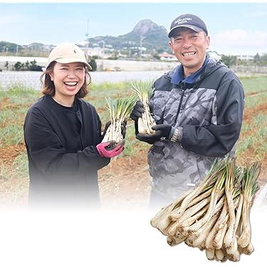 Amazon.co.jp 売れ筋ランキング: らっきょう の中で最も人気のある商品です