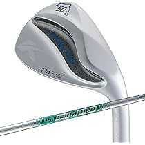 Amazon.co.jp: キャスコ ドルフィンウェッジ DW-123 N.S.PRO