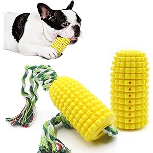 GUPAIK 犬 おもちゃ 噛む 犬用おもちゃ 噛むおもちゃ 犬の歯ブラシ 餌入れ 犬用歯ぎ清潔口内介護ブラシ 運動不足…