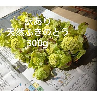 Amazon.co.jp 売れ筋ランキング: ふきのとう の中で最も人気のある商品です