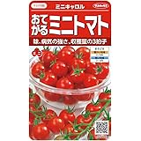 サカタのタネ 実咲野菜0100 おてがるミニトマト ミニキャロル 00920100