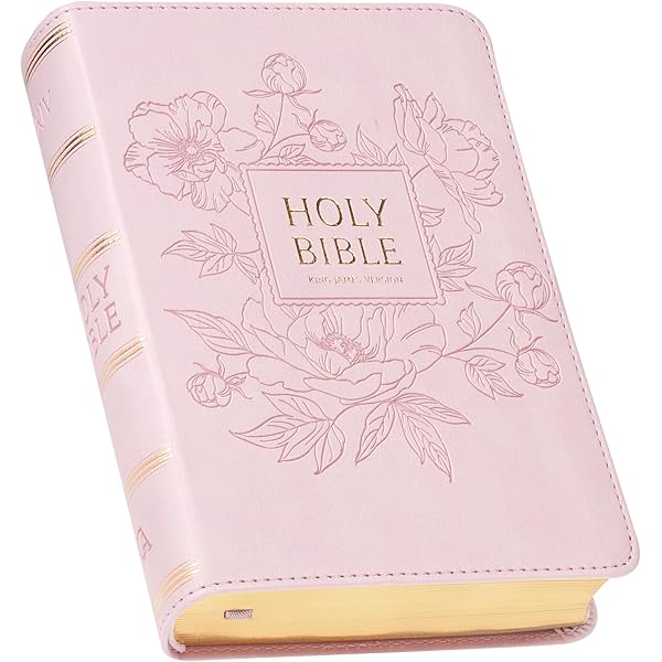 Amazon | The Holy Bible (Kjv), Holy Spirit Edition, Imitation