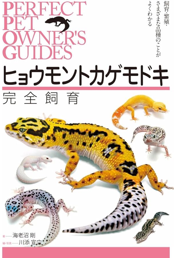 ヒョウモントカゲモドキ品種図鑑: 飼育前の個体選び・品種の選別・繁殖