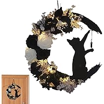 71jGXc5F4WL._AC_UL210_SR210,