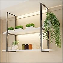 71jLE1pbuqL._AC_UL210_SR210,