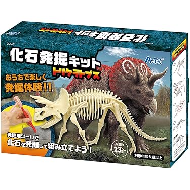 【本物の化石】小型生物の化石 木製ボックス付き 楽天市場】化石発掘セット 三葉虫 本物の三葉虫の化石付き 化石