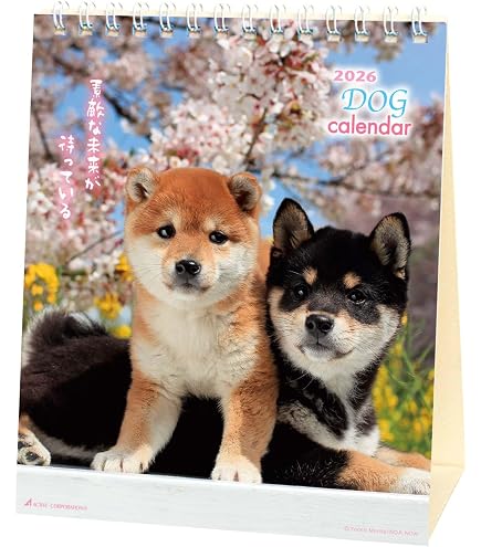 Amazon | ホールマーク 2026年 カレンダー 卓上 ほめわんこ 845544