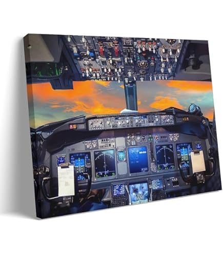 希少】DC-9 計器板 コックピット 実装品 レジ番あり 航空 希少】DC-9