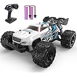 DEERC ラジコンカー オフロード 子供向け ラジコン 1/20 電動RCカー 全地形対応 2.4GHz リモコンカー 独立懸架システム 車おもちゃ 男の子 プレゼント 日本国内認証済み S767