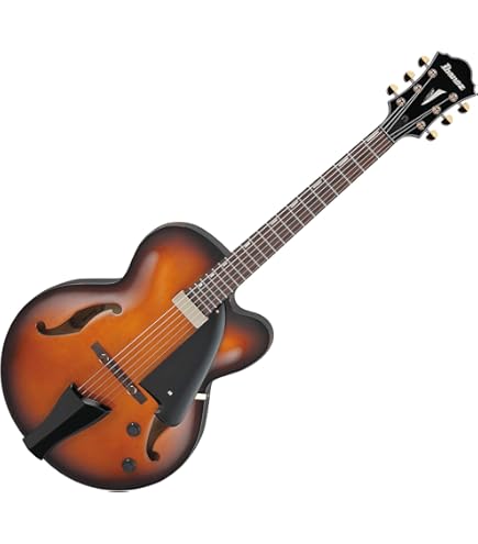 Amazon | Ibanez アイバニーズ Artcoreシリーズ フル・ホロウ
