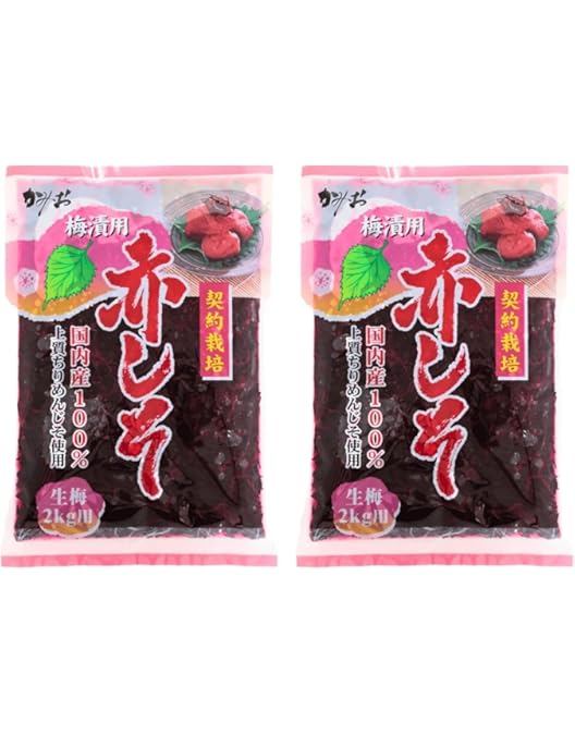 南高梅（完熟）秀品　２Ｌサイズ　箱込み５ｋｇ　梅干し用　滝清園4-1 南高梅（完熟）秀品 2Lサイズ 箱込み5kg 梅干し用 滝清園