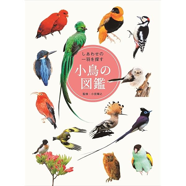 鳥の飼育大図鑑 鳥の飼育大図鑑 | 江角 正紀, 立松 光好 |本 | 通販 | Amazon