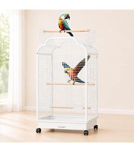 Amazon | 鳥かご 金属 大型 白色 60×45×66cm オカメ インコ 文鳥 鳩 鳥