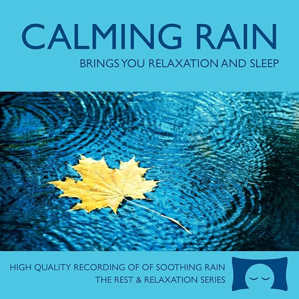 【中古】「非常に良い」［CD］Insight CD (インサイト CD~雨音バージョン~) Amazon.co.jp: Insight CD (インサイト CD~雨音バージョン~): ミュージック