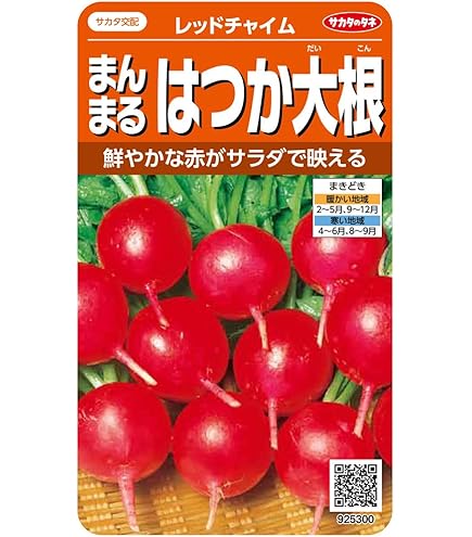 daikon様 Amazon.co.jp: Seeds Vegetable Seeds, Daikon, Miura Daikon, 1