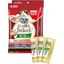 銀のスプーン にっぽん Select 240g 20袋800本 テール 銀のスプーン おやつ にっぽんSelect とろリッチ 3種アソート