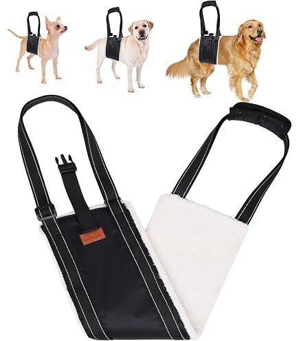 Amazon | With(ウィズ) 歩行補助ハーネス LaLaWalk 中型犬・コーギー用