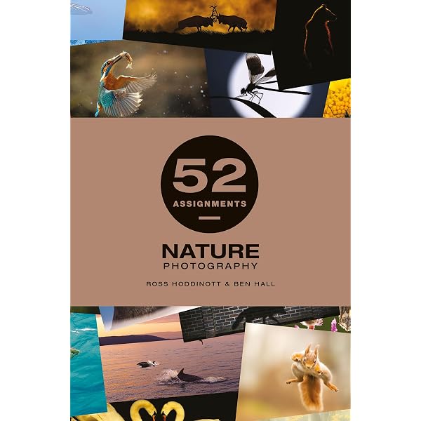 Amazon | 52 Assignments: Landscape Photography | Hoddinott, Ross