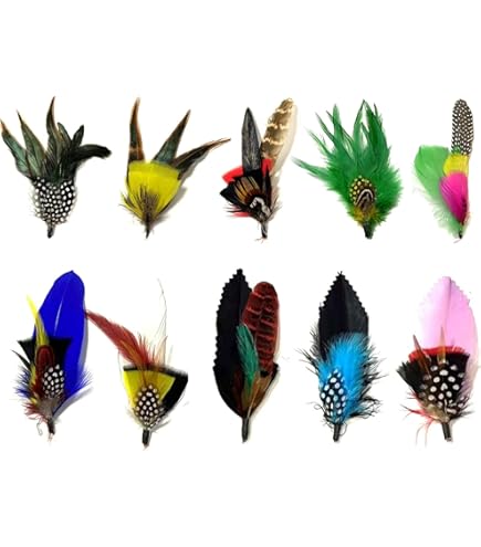 Amazon | Qivine 10個 フェザーアクセサリー 羽シャワー 羽根 工芸品