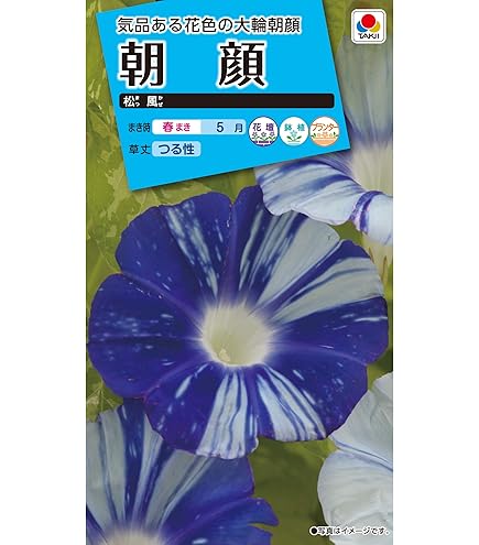 あさがお Amazon | 株式会社トーホク 絞り咲あさがお(混合) 00880 | 花