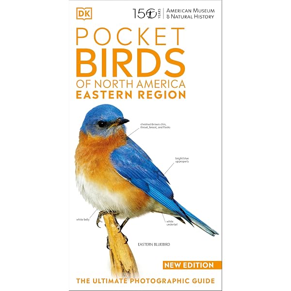 Birds of North America: Western Region : Alsop, Fred: Amazon.sg: Books