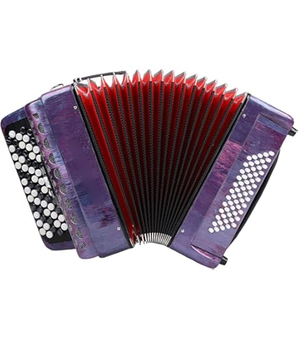 Amazon | Roland ローランド アコーディオン FR-1XB BK ブラック