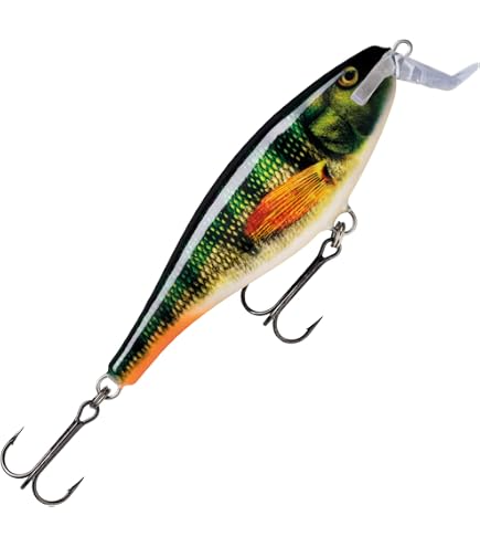 Amazon.co.jp: ラパラ(Rapala) スーパーシャッドラップ SSR14 14cm 45g