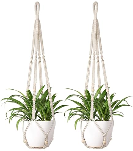 ☆ポトス☆挿し穂用サービスカット☆バンピー5本 ポトス 5号 ハンギングポットセット 1鉢の通販 | GreenSnap