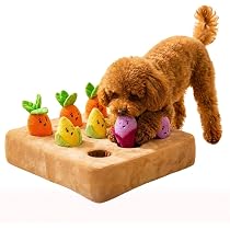 Amazon | [N.Qurio] 知育玩具 犬 おもちゃ ノーズワーク マット 野菜