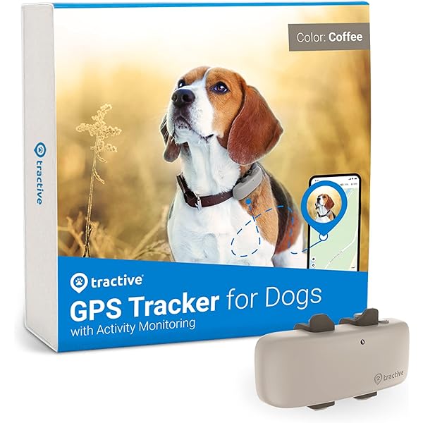 real time pet tracker