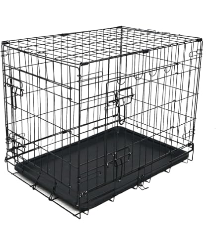 Amazon | 市瀬 ハチコウステンレスケージ SSLL-SOP | 市瀬 | 飼育