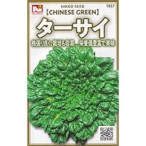 ターサイ　苗　15株　① Amazon.co.jp: 日光種苗 ターサイ （タアサイ、ターツァイ） ［1857