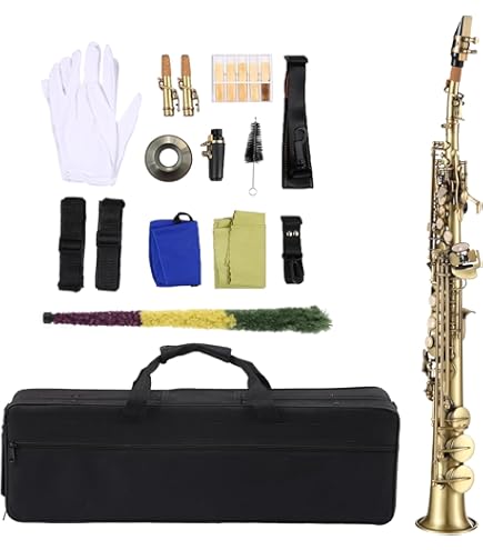 Amazon | PLAYTECH (プレイテック) ソプラノサックス デタッチャブル