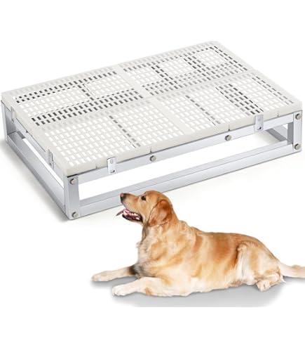 Master Equipment Raised Dog Master Equipment Raised Rack Durable