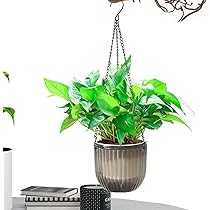 吊り下げ　プランター 71jnlsxlgML._AC_UL210_SR210,