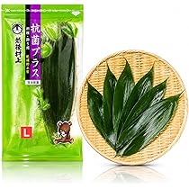Amazon | 【季節の節句飾りに最適】国産 新潟県産 熊笹 Lサイズ 管理