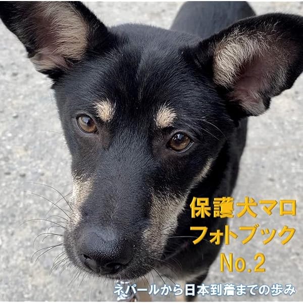 99円支援版 保護犬マロ 全額支援フォトブック 病気を乗り越え 愉快な仲間たちと出会い 初恋をするまで 野良犬ふれあい広場フォトブック 野良犬ふれあい広場 Kindle本 Kindleストア Amazon