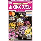 サカタのタネ 実咲花5593 よく咲くスミレ ミックス 00905593