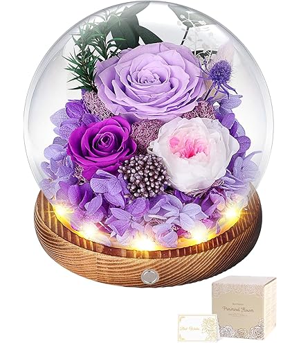 Amazon｜Reine De Fleur レンデフロール 【B-N】 バラ・かすみ草 W237