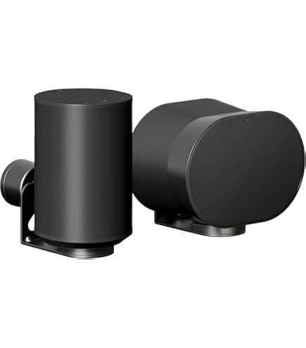 Amazon.co.jp: Sonos Era - Paquete de 100 – Paquete de 2 – Altavoz
