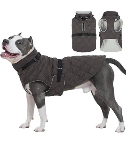 Amazon | OneTigris 犬服 冬用 ジャケット 犬用コート 反射材 防水