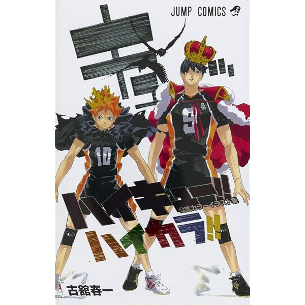 ハイキュー!! Complete Illustration book 終わりと始まり (愛蔵版 