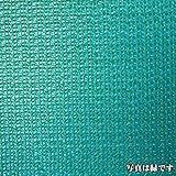 農業用メッシュ 防風・防鳥・防獣ネット ラッセル編 04)目合(mm)：1｜幅（cm）：200｜色：白