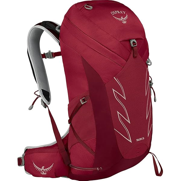 Amazon.co.jp: OSPREY(オスプレー) タロン 22 OS50238