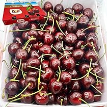 71k0svetQ0L._AC_UL210_SR210,