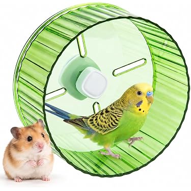 Amazon.co.jp 最新リリース: 小動物用回し車 の新着ランキングです。