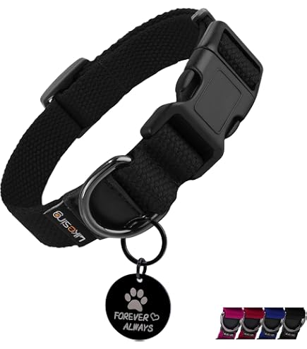Amazon | BRONZEDOG ロールレザー犬用首輪 小型中型大型犬用 QR IDタグ